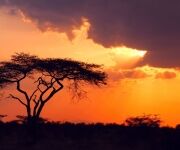 African Astrology: The Personality Of The Amber And Silver Sign