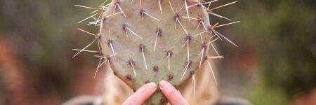 Which zodiac sign has the worst personality?