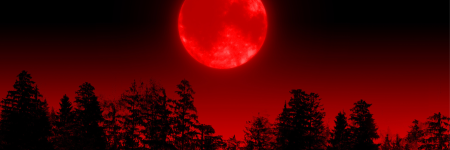 When Is The Next Blood Moon? The Next One Is March 14, 2025!