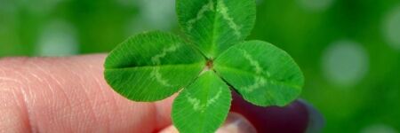 Why Is A Four-Leaf Clover So Lucky? Susan Taylor Reveals All
