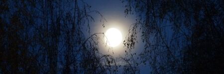 When Is The Next Full Moon? - It’s On December 8, 2022, In Gemini