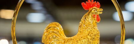 The Rooster in Chinese Astrology: Who are they really?