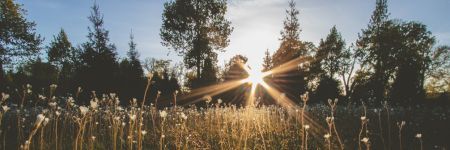 What’s your summer solstice ritual for Litha?