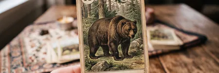 The Bear in the Petit Lenormand: meaning