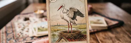 The Stork in the Petit Lenormand: meaning