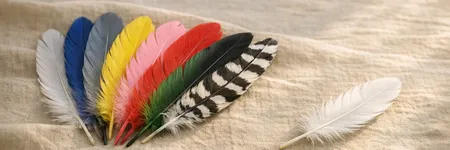 The Spiritual Meaning of Feather: It's Hidden Meaning