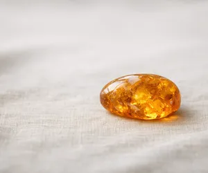 The Origins And Virtues Of The Precious Amber Stone