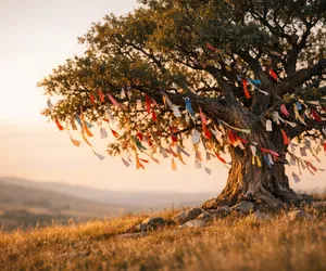 The Wishing Tree: History, Meaning and Tradition