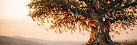 The Wishing Tree: History, Meaning and Tradition