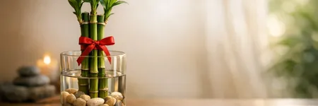 Lucky Bamboo Meaning: The Feng Shui Good Luck Charm