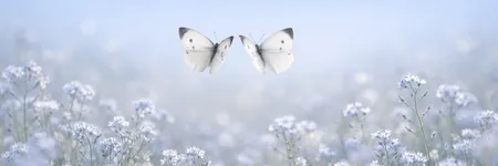 How to Drive a Gemini Crazy in 5 Phrases ♊🦋