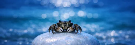 How to Drive a Cancer Crazy in 5 Phrases ♋🦀