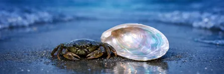 The Truth a Cancer Does NOT Want to Hear ♋🦀