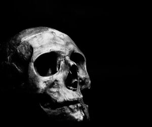 Fear Of Death: It’s Part Of Life... How Can We Tame It?